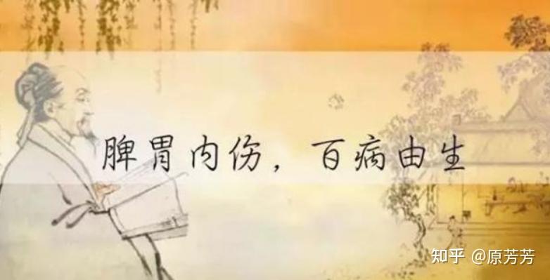 中医:百病之源皆于脾!只要脾胃恢复好了,很多问题都会不攻自破 - 知乎
