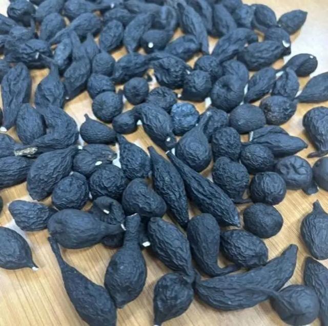 “菌界大熊猫”——乌灵参，究竟有何特别之处？ - 知乎