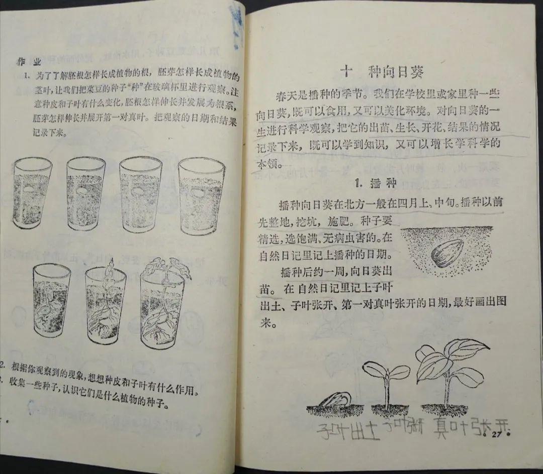 80年代小学自然课本图片