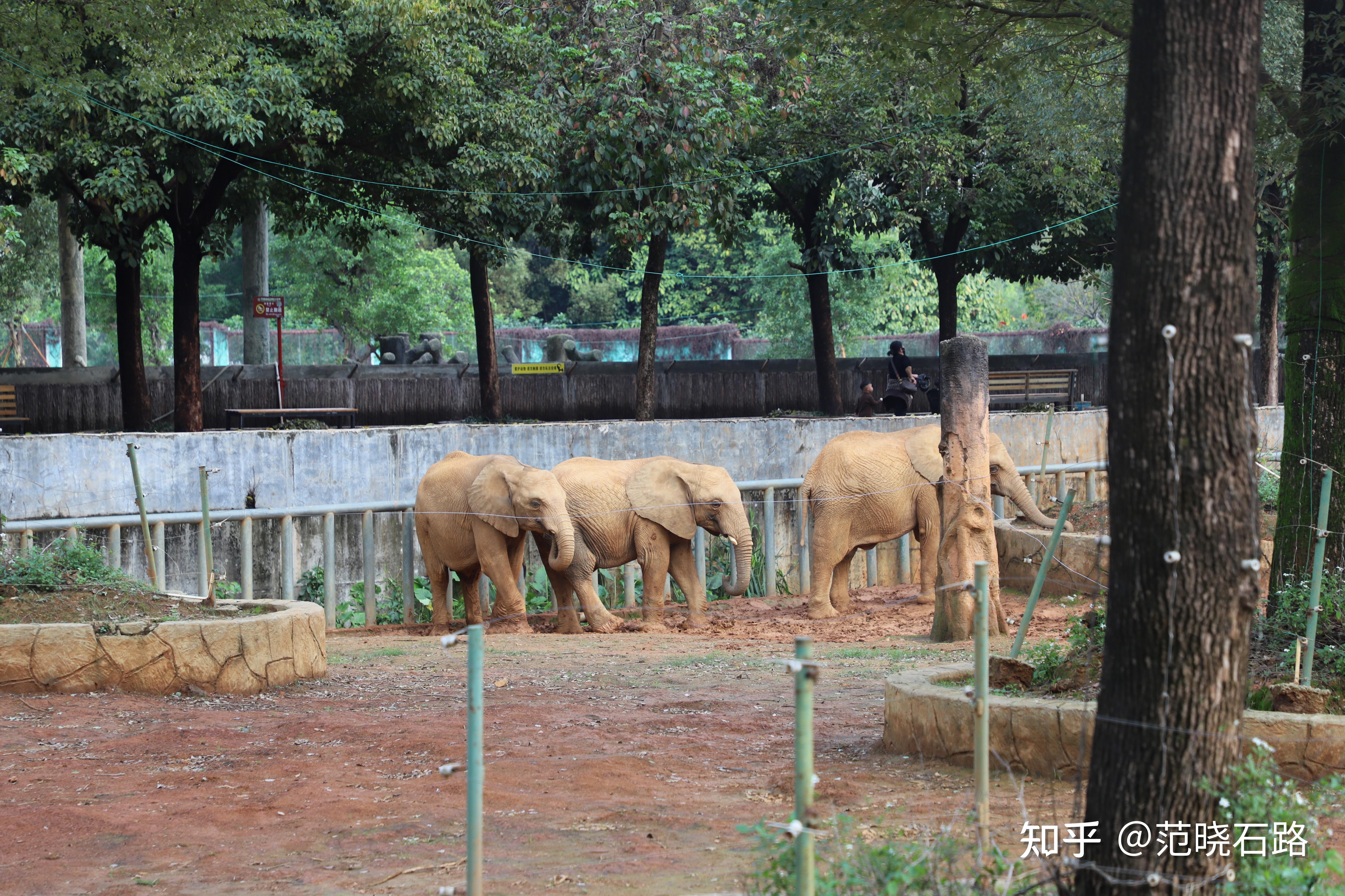 广西平南动物园图片