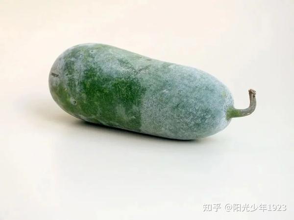 夏吃一瓜特养人，祛湿解暑！皮能利水消肿、子能健脾通便，鲜爽可口还不怕胖 - 知乎