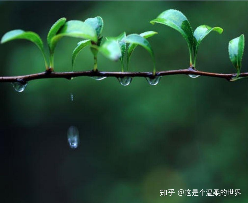 二月的雨