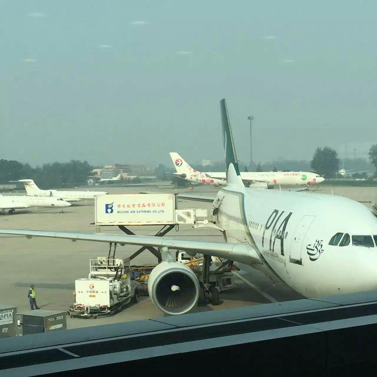 谁坐过巴基斯坦航空公司的飞机,为什么那么便