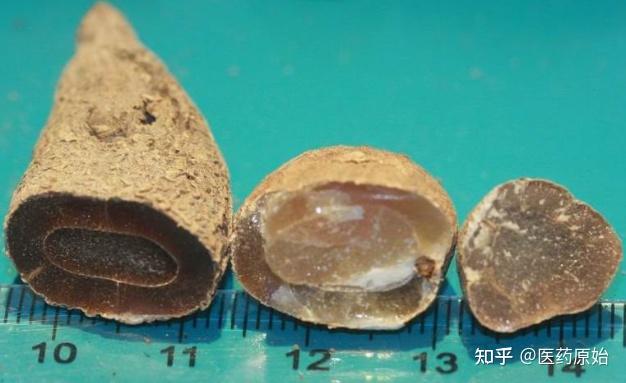 带你识别郁金 - 知乎