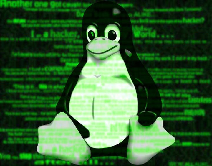 Io что это linux