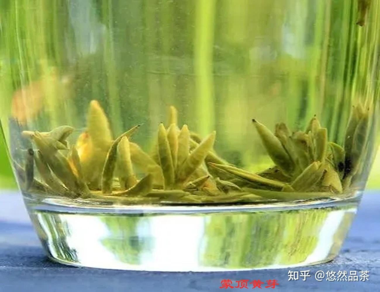 2021年新茶 厂家批发 霍山黄芽 广西柳州三江绿茶 黄山毛峰 烘青-阿里巴巴