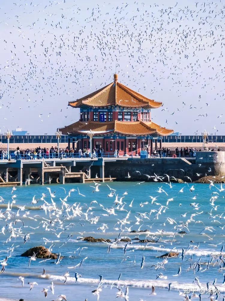 青岛五天四晚旅游攻略：已回！旅行社最全暑假攻略分享！ - 知乎