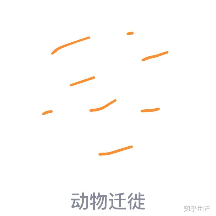 qq红包动物迁徙画法图片