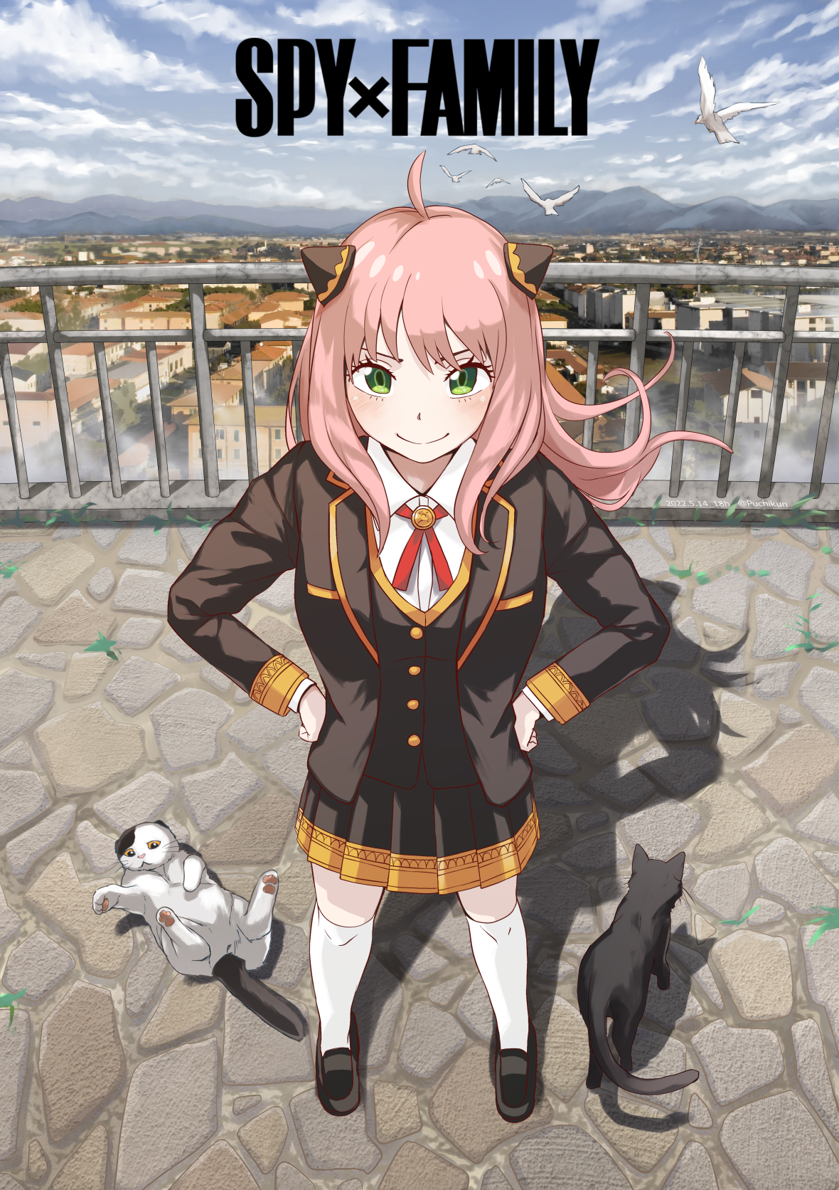 有没有间谍过家家阿尼亚的表情包分享