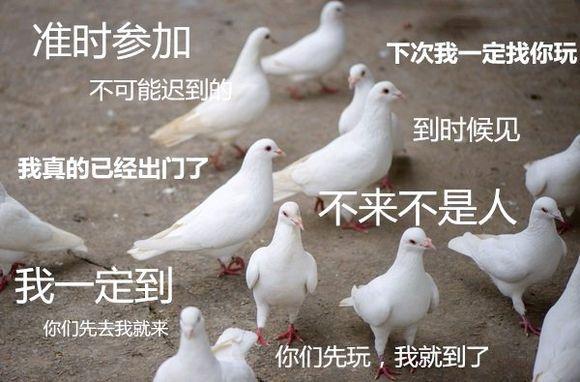 安全员C证在什么地方查询 百度知道