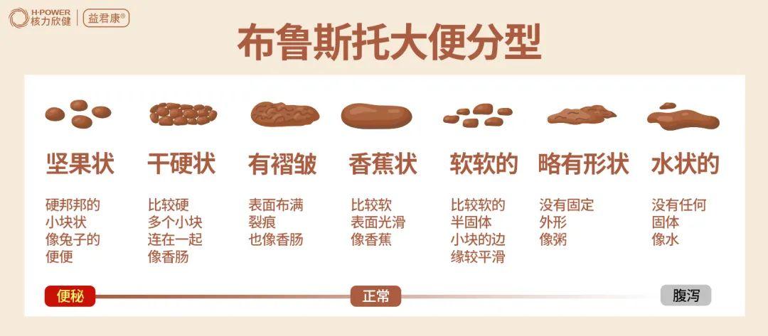 便便的粗细到底由什么决定？带你探秘人体大便工厂！ - 知乎