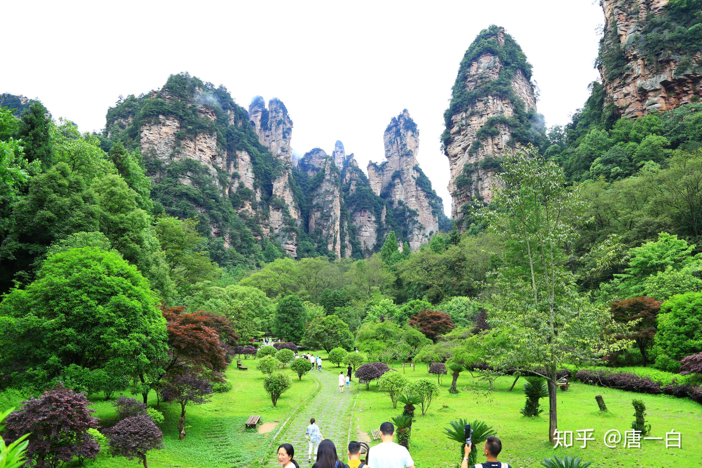 張家界美女導遊介紹67月去張家界旅遊攻略吃住遊