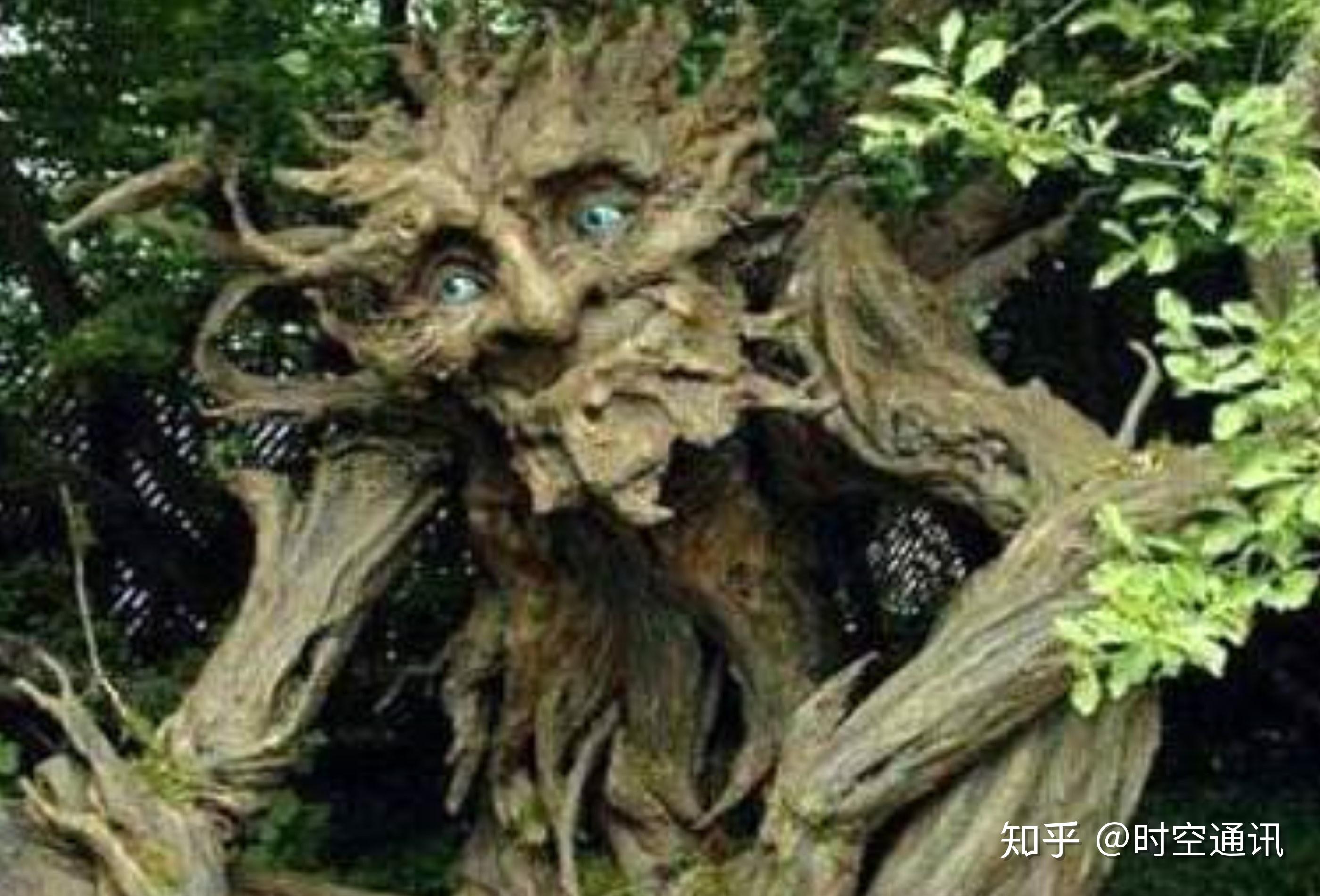 恐怖的食人树传说是真是假