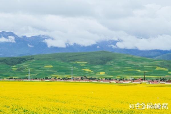 天气天气王2345预报_升钟湖天气1001升钟湖天气_青海湖天气预报