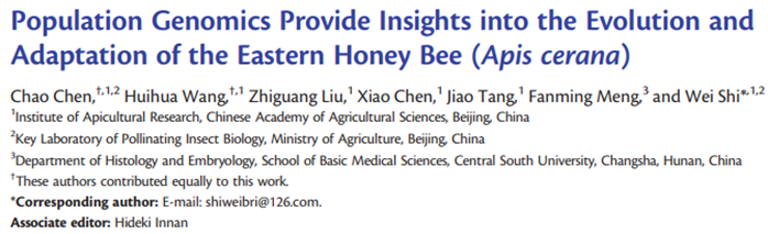 Population Genomics Provide Insights into the Evolution and Adaptation ...