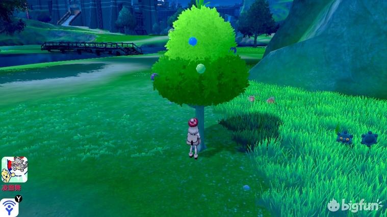 精灵宝可梦剑盾树果详细介绍