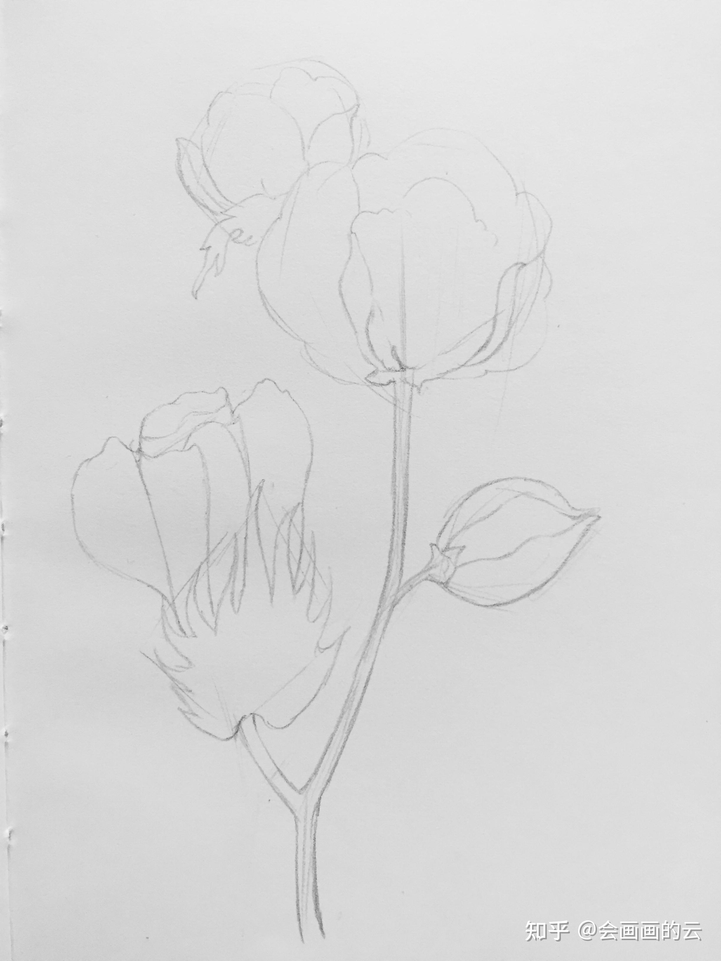 手把手教你画简笔画,一朵可爱的小棉花