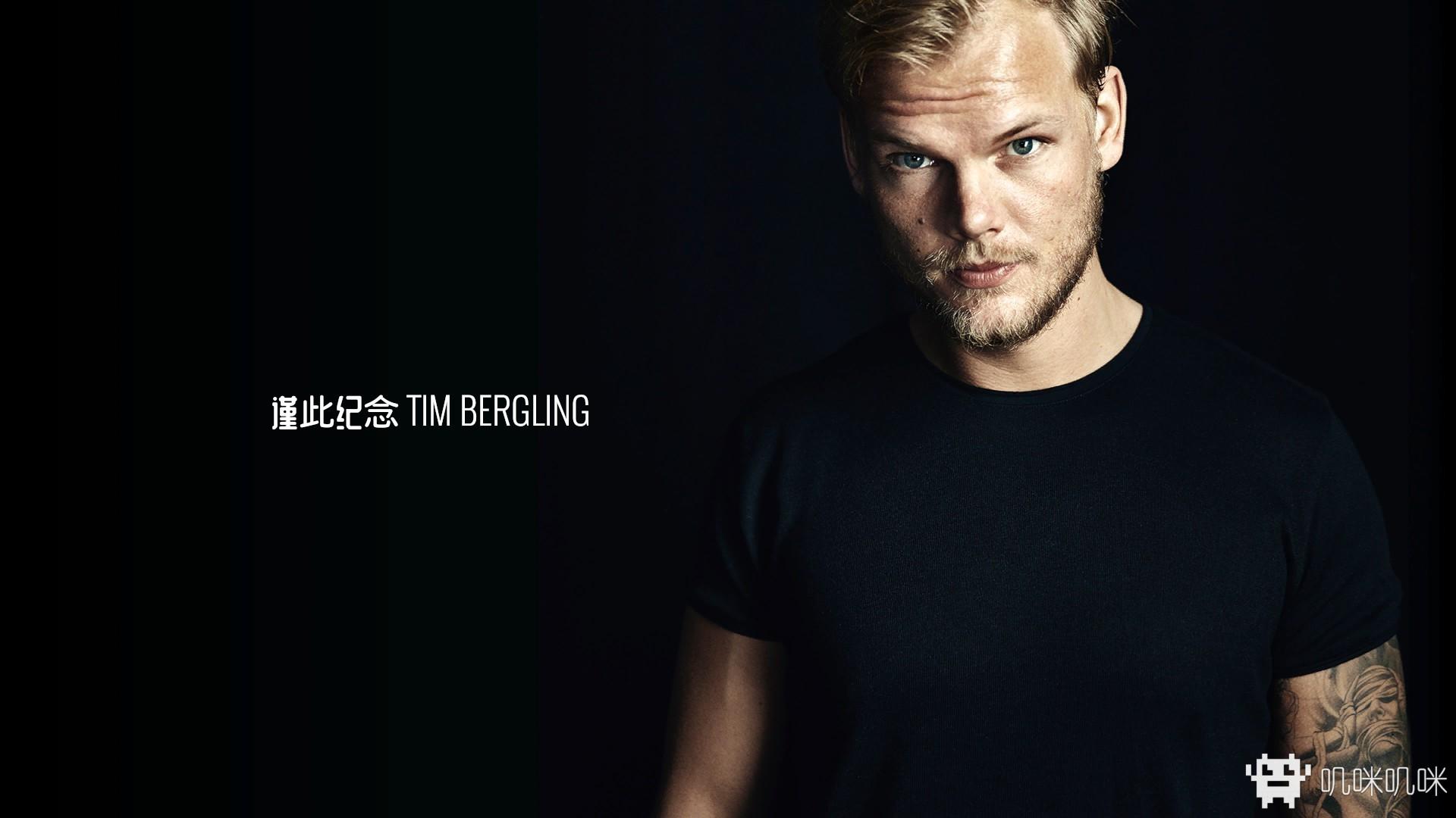 aviciiinvector感谢你带来如此优秀的音乐祝你安息