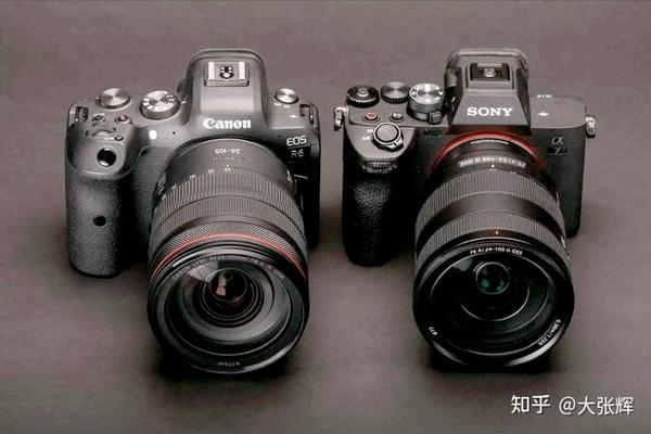 选佳能r6还是索尼a7m4?