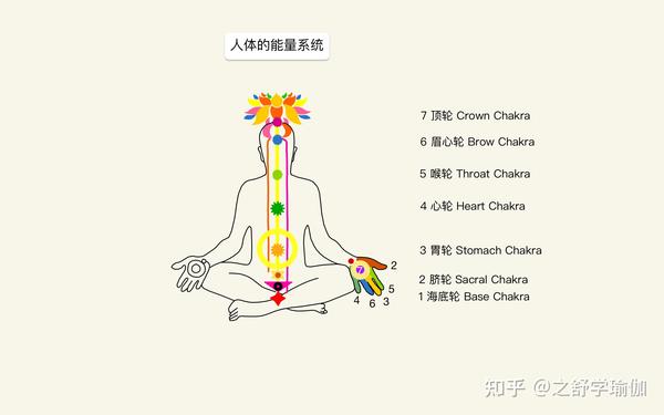 瑜伽当中如何管理能量 - 知乎