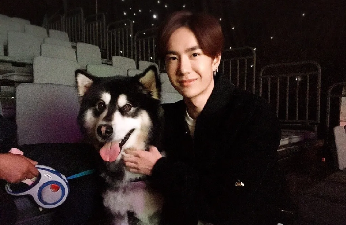 喂养了一只流浪猫,并把它叫做"赵书宇",这个名字是王一博在《梦想合伙