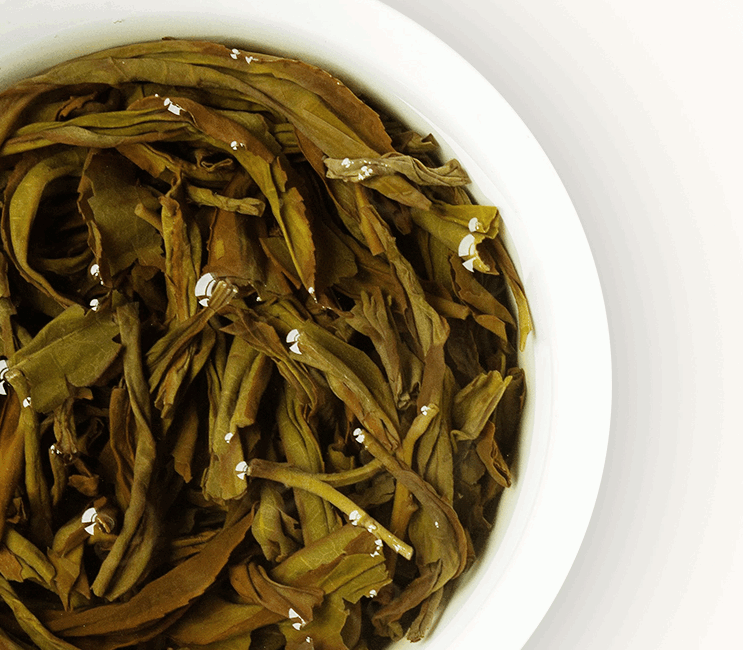 凤凰单丛 枞 茶里好牌子有哪些 知乎 凤凰单丛 枞 茶里好牌子有哪些 知乎