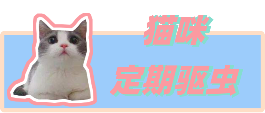 v2-48c428399f75dbc0fe206c72195bba1e_1440w.jpg?source=172ae18b