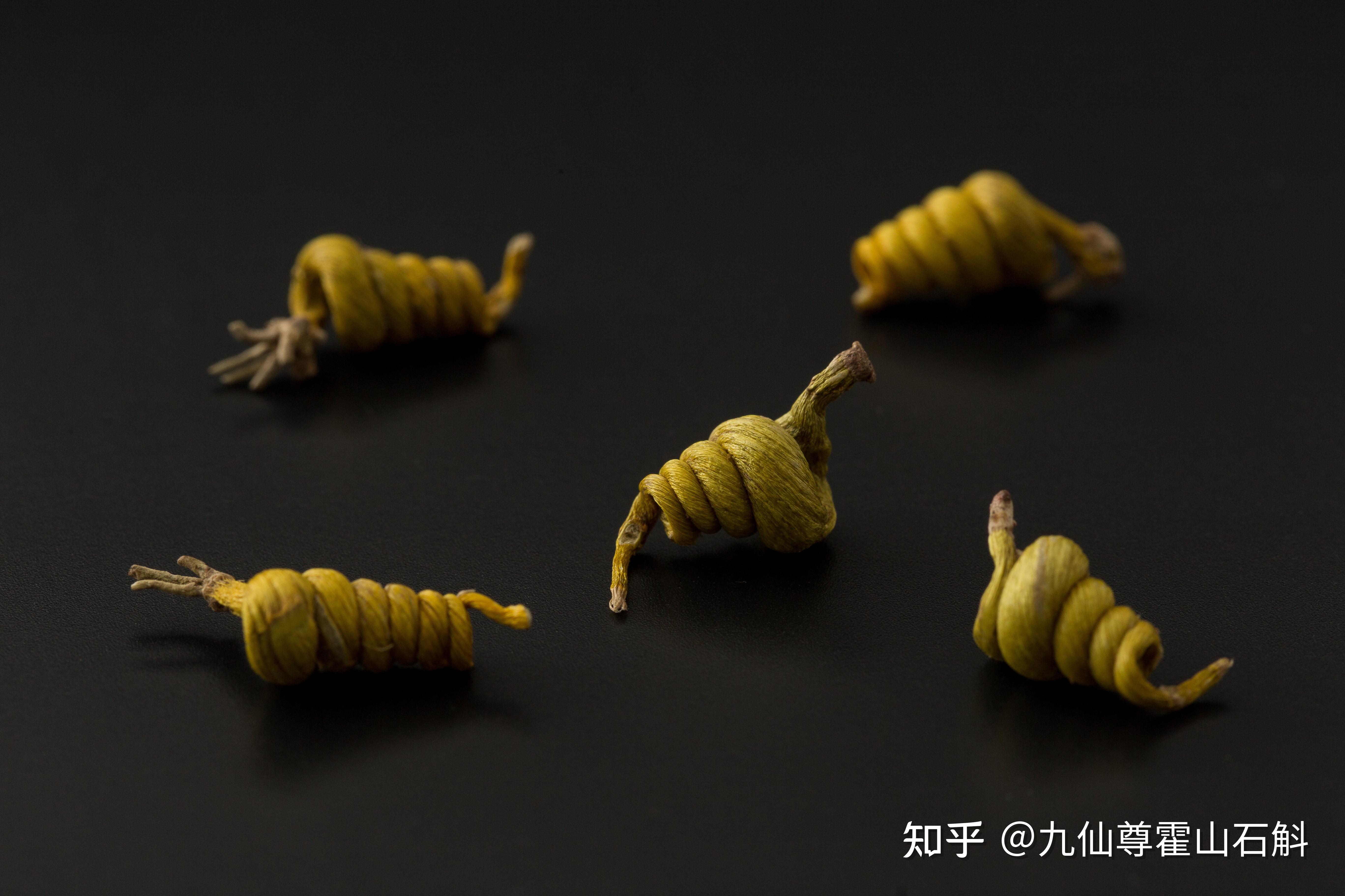 走近大别山亲眼见证道地的霍山石斛