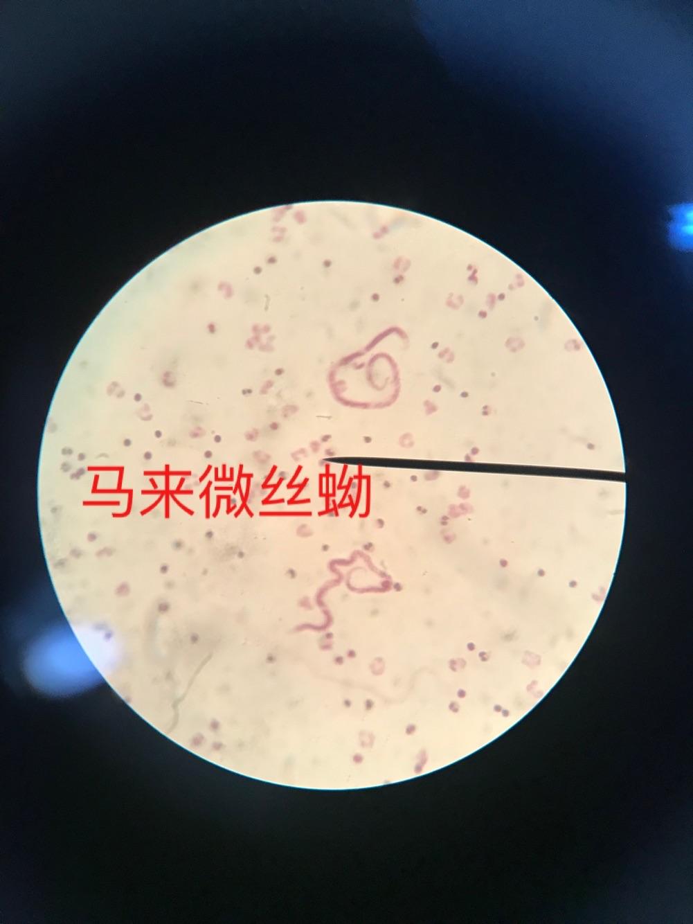 学医是种怎样的体验?