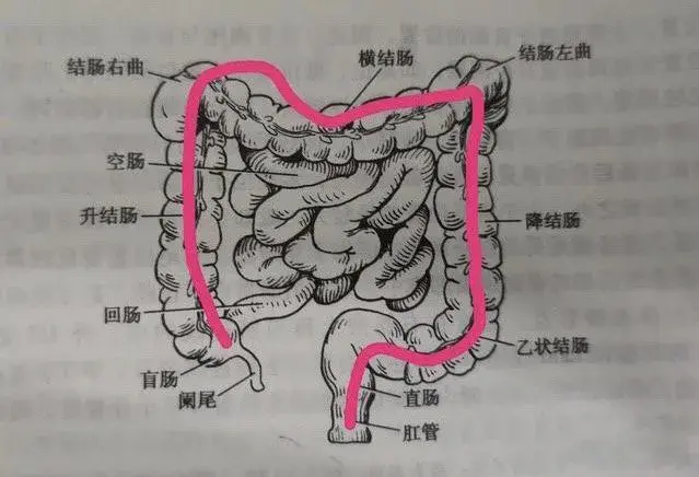 印小天曝父亲直肠癌晚期…医生:早期肠癌早期症状都