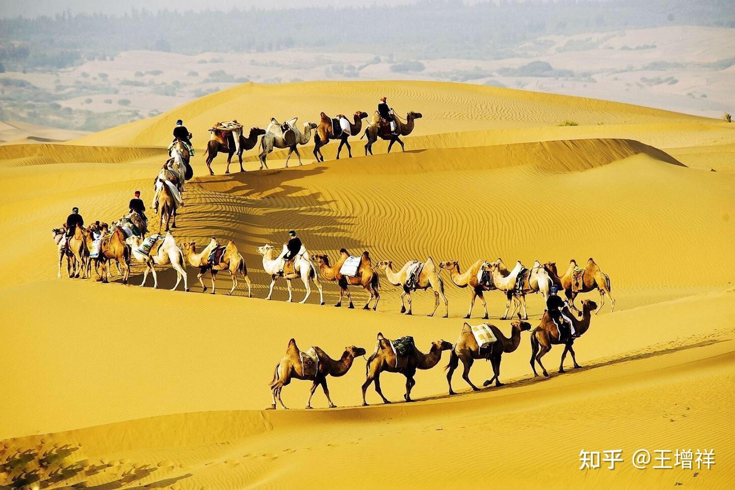 内蒙古｜在“白马”“苍狼”的故乡，骑行骆驼30公里，赴一场冬日蒙古高原盛会