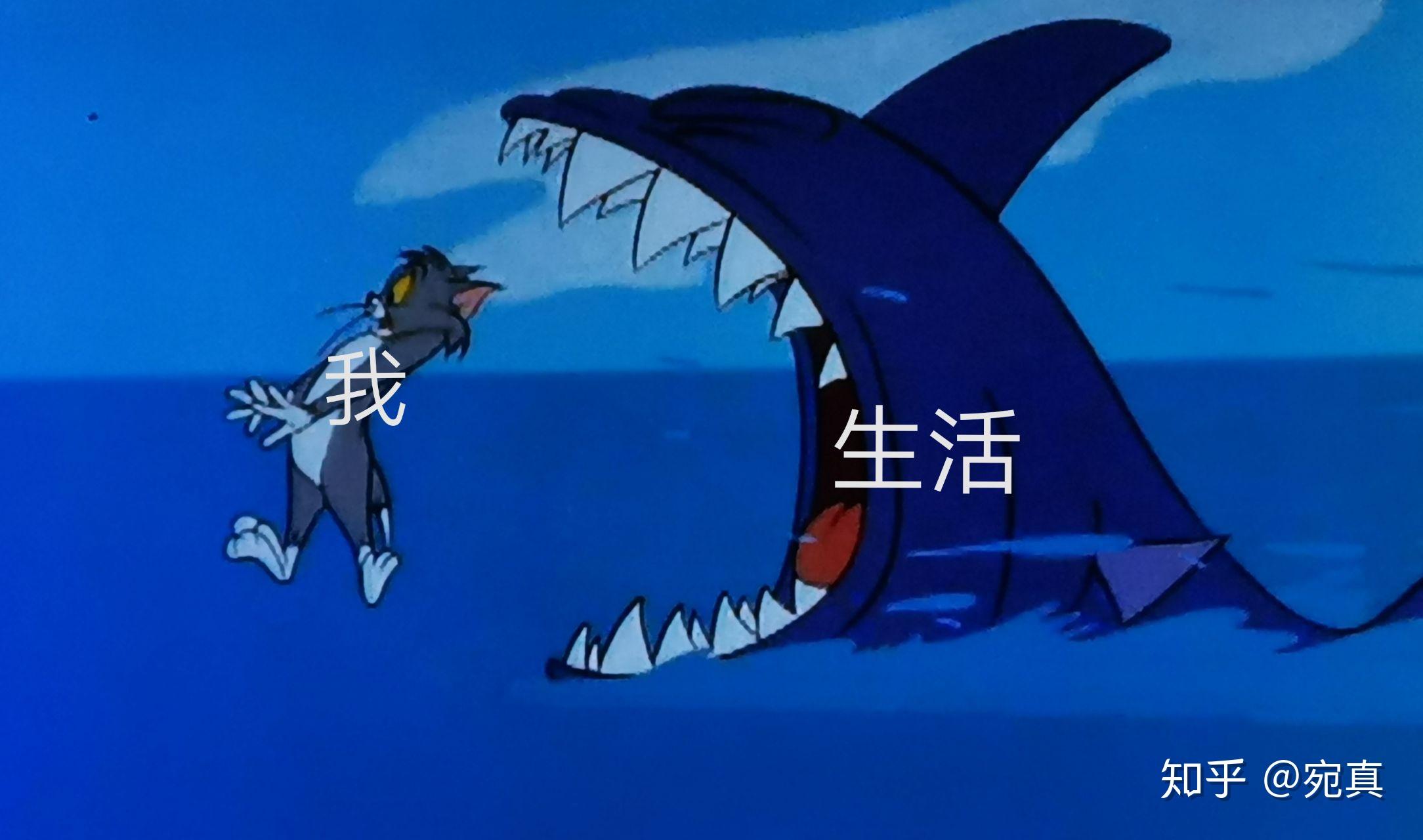 有什么好玩的猫和老鼠表情包?