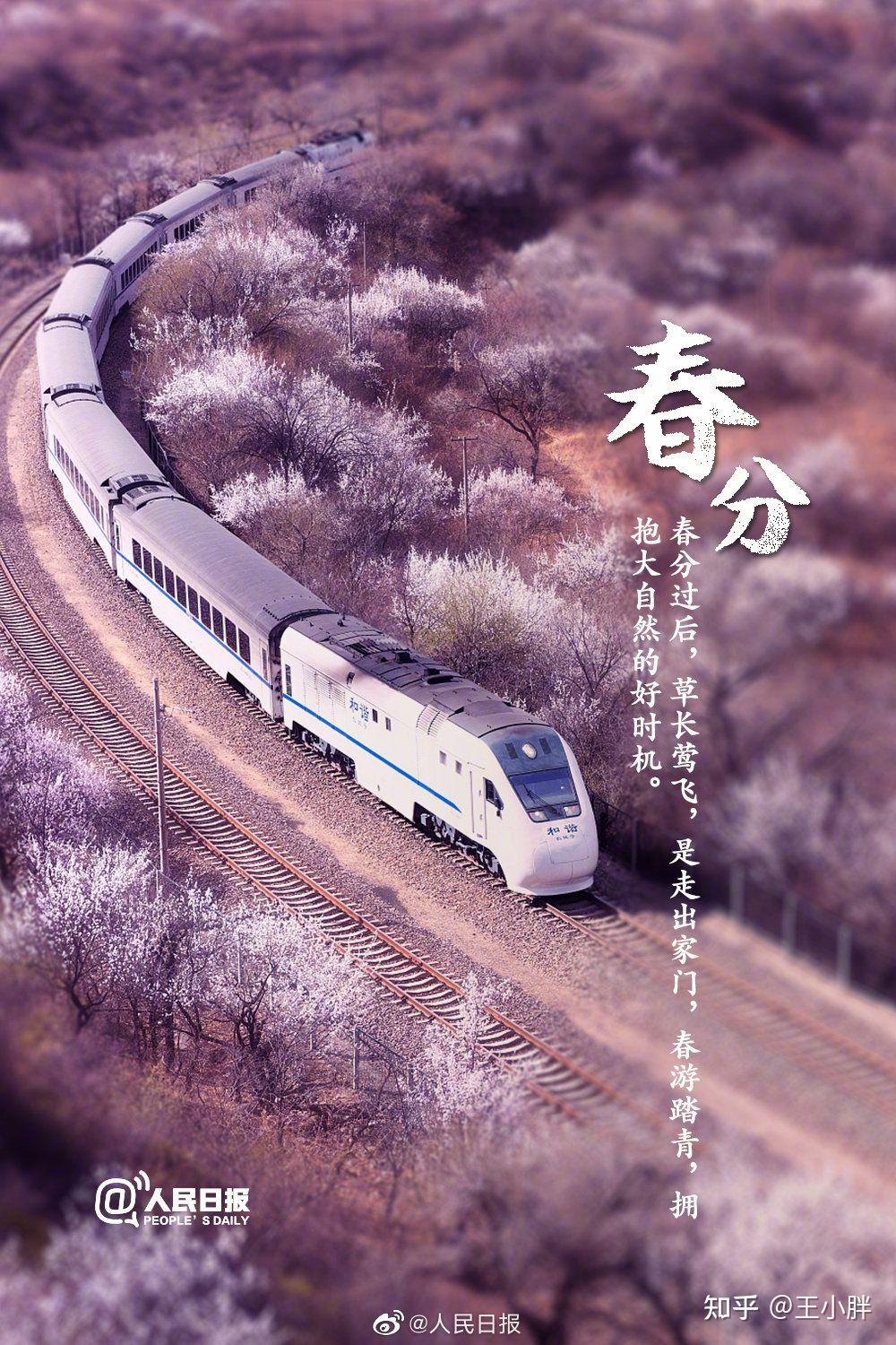 【今日,#春分# [微风]】 - 知乎