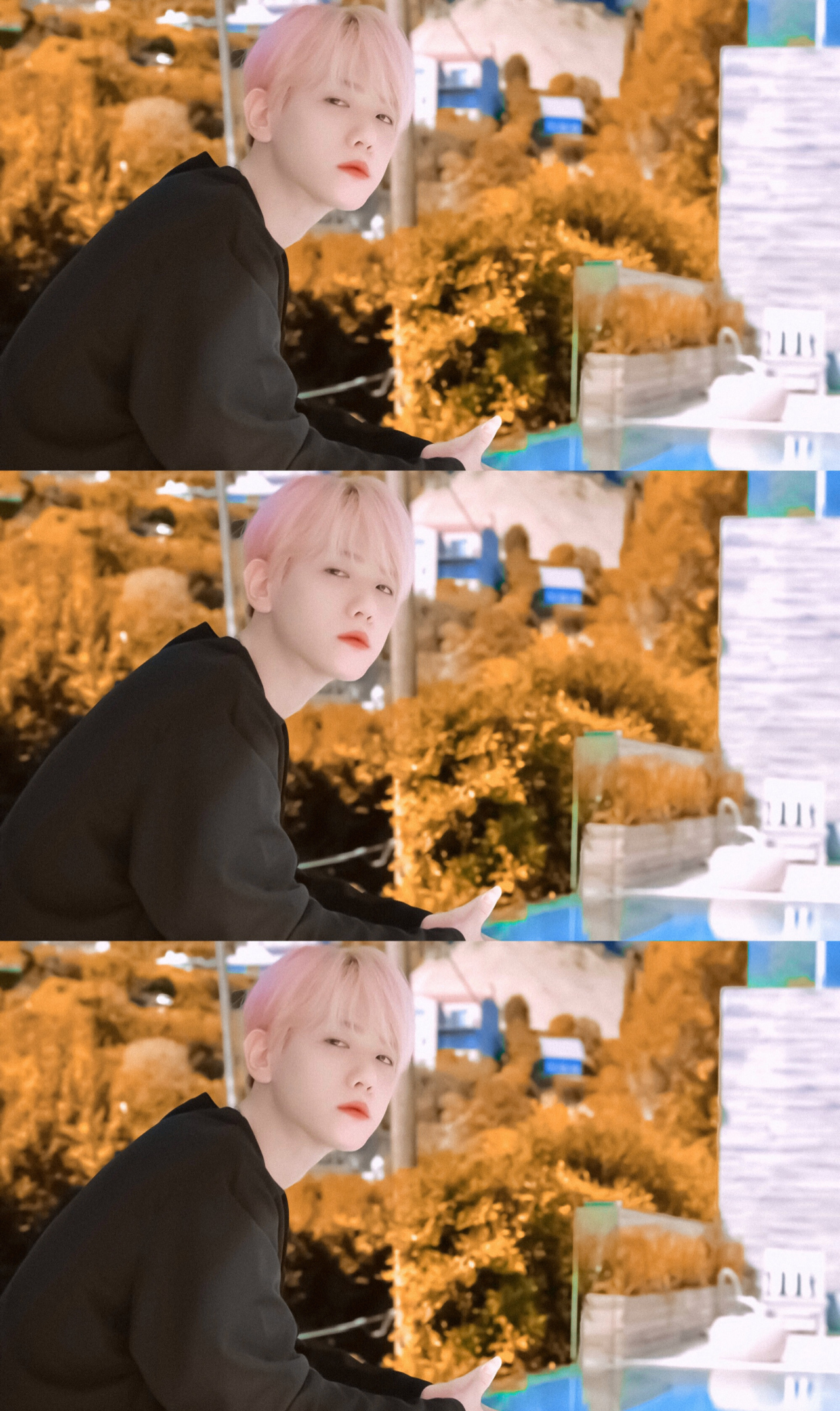 有没有边伯贤粉色头发的壁纸,无水印的? - 知乎