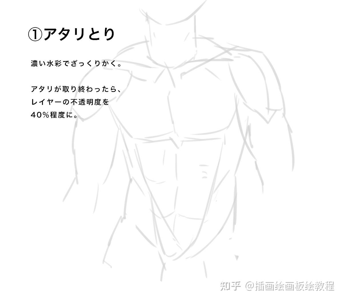 肌肉画法参考 - 优动漫 动漫创作支援平台