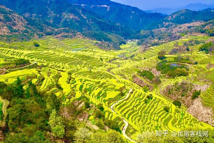 春天賞花去哪裡桃花油菜花