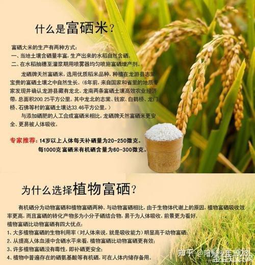 富硒大米的功效与作用