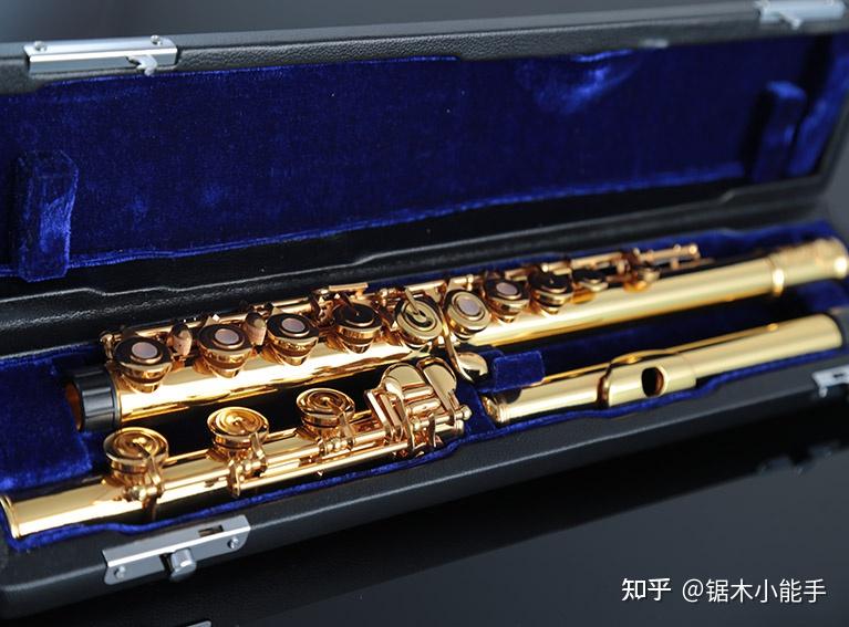 新手长笛选购指南:从材质介绍到产品筛选,附5款不同预算实测推荐(超全避坑攻略) - 知乎