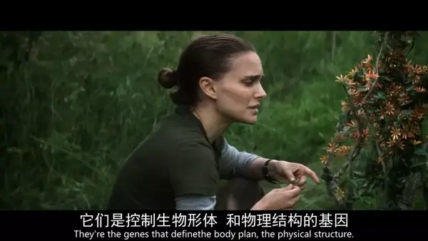 豆瓣高分科幻电影剖析