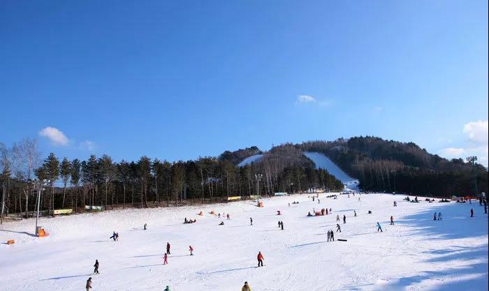 江原道的滑雪場開放時間是全韓國最早的(大約11月中旬),關閉最晚(來年