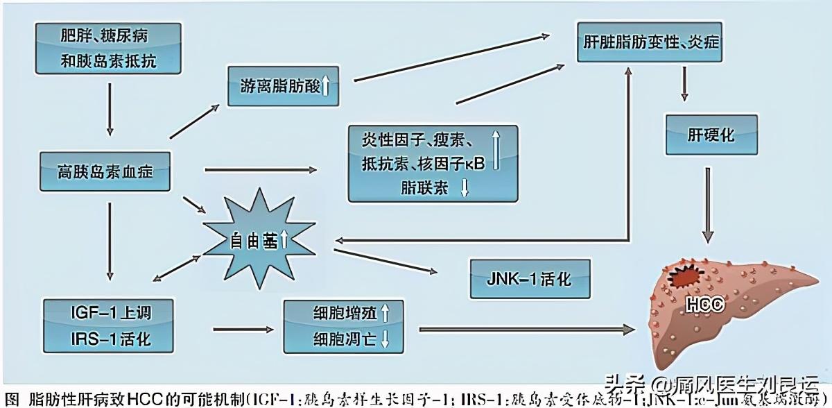 丙谷转氨酶高吃什么药_谷丙转氨酶高吃什么_谷丙转氨酶偏高是吃药的原因吗