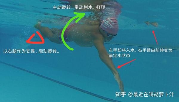 自由泳手与腿配合口诀图片