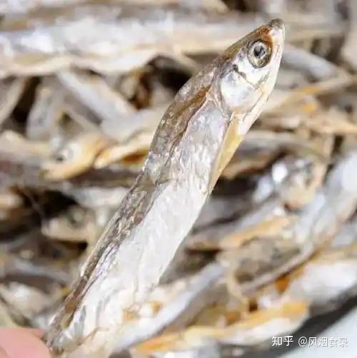 作为湖北人,你知道湖北十大名鱼吗?吃过哪几种?当地人进来聊聊 - 知乎
