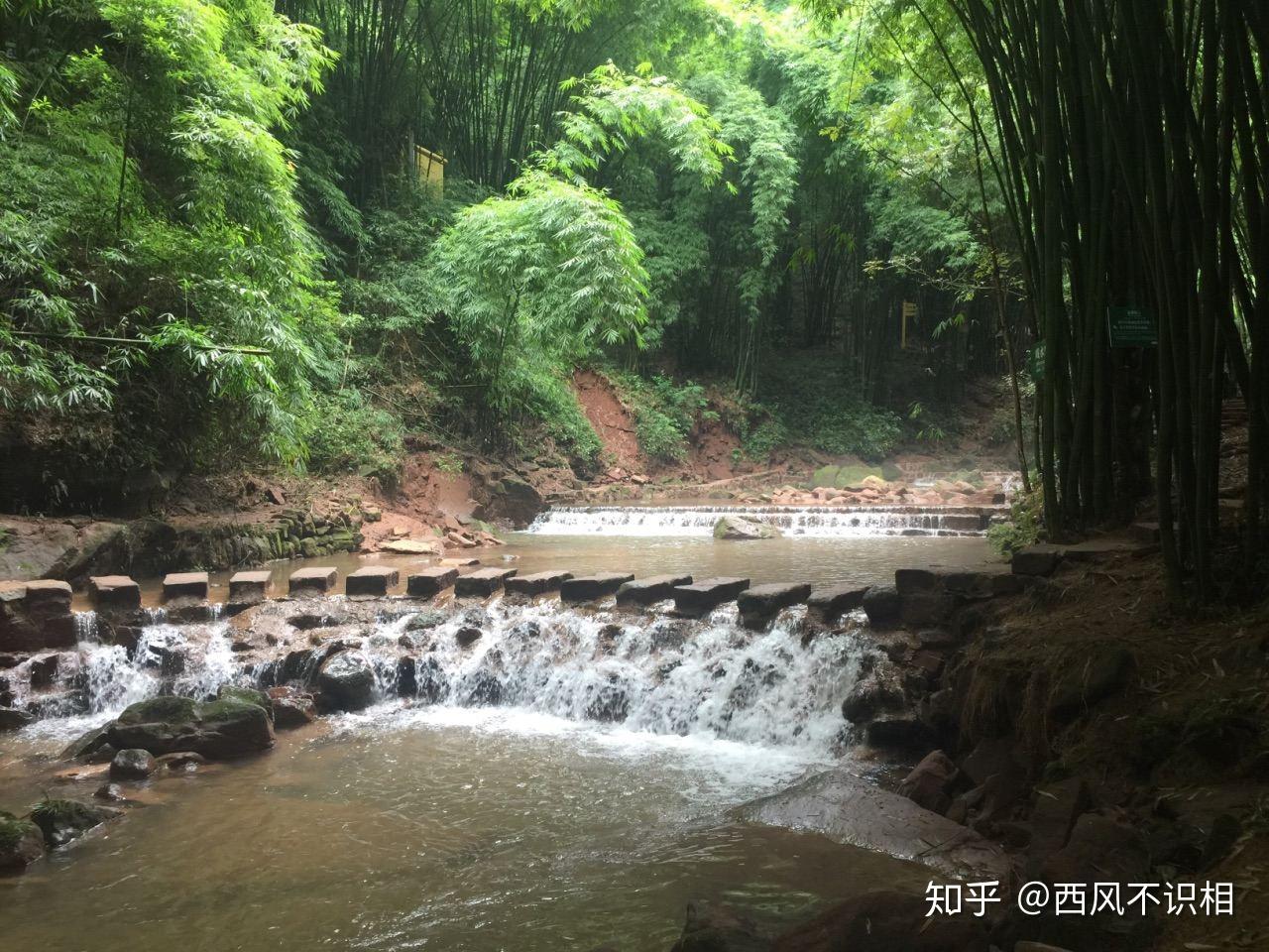 成都邛崍川西竹海一日遊邛崍旅遊景點