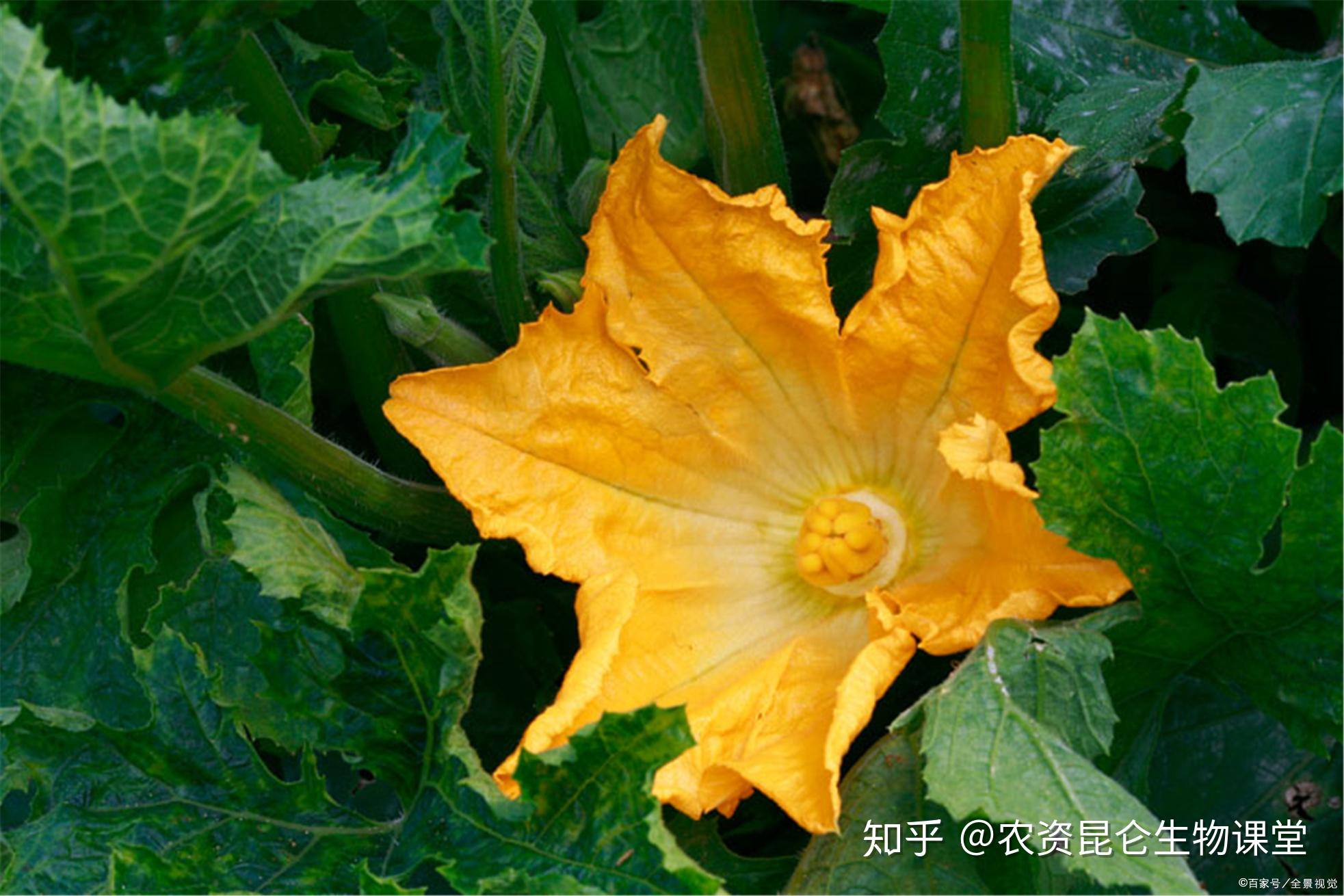 v2-49859a216658741a298eaba1d791b68a_r.jpg