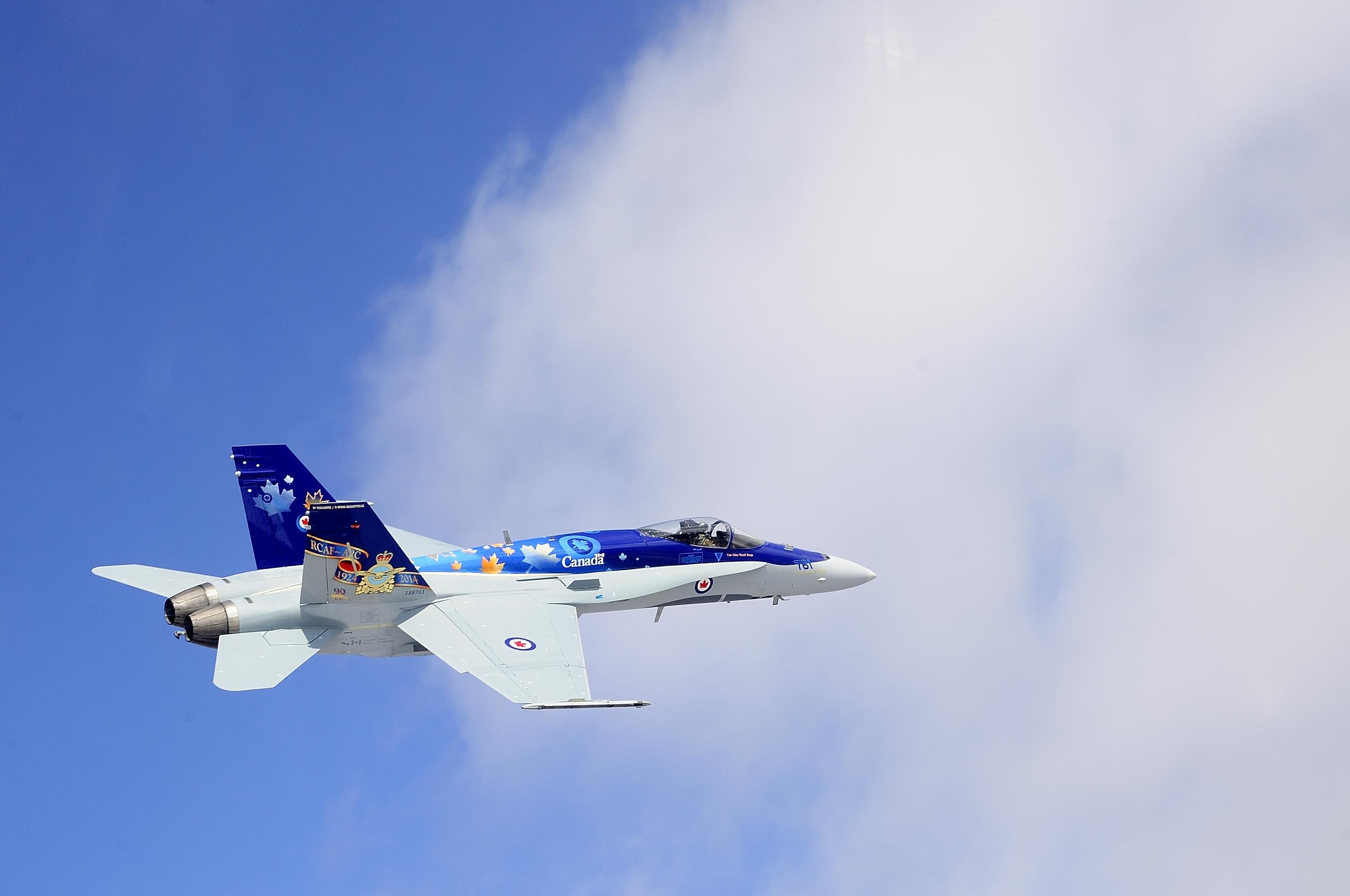 图册皇家加拿大空军cf18表演队之一20132017