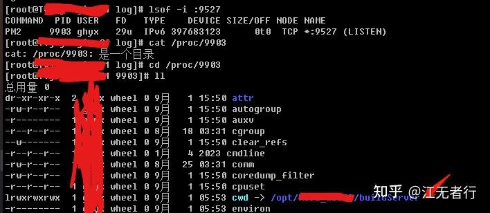 linux怎么杀端口