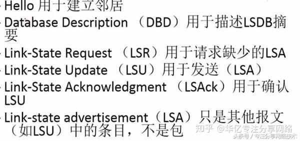 Ospf报文 Spf算法 邻居关系建立及排错 理论 实战 知乎