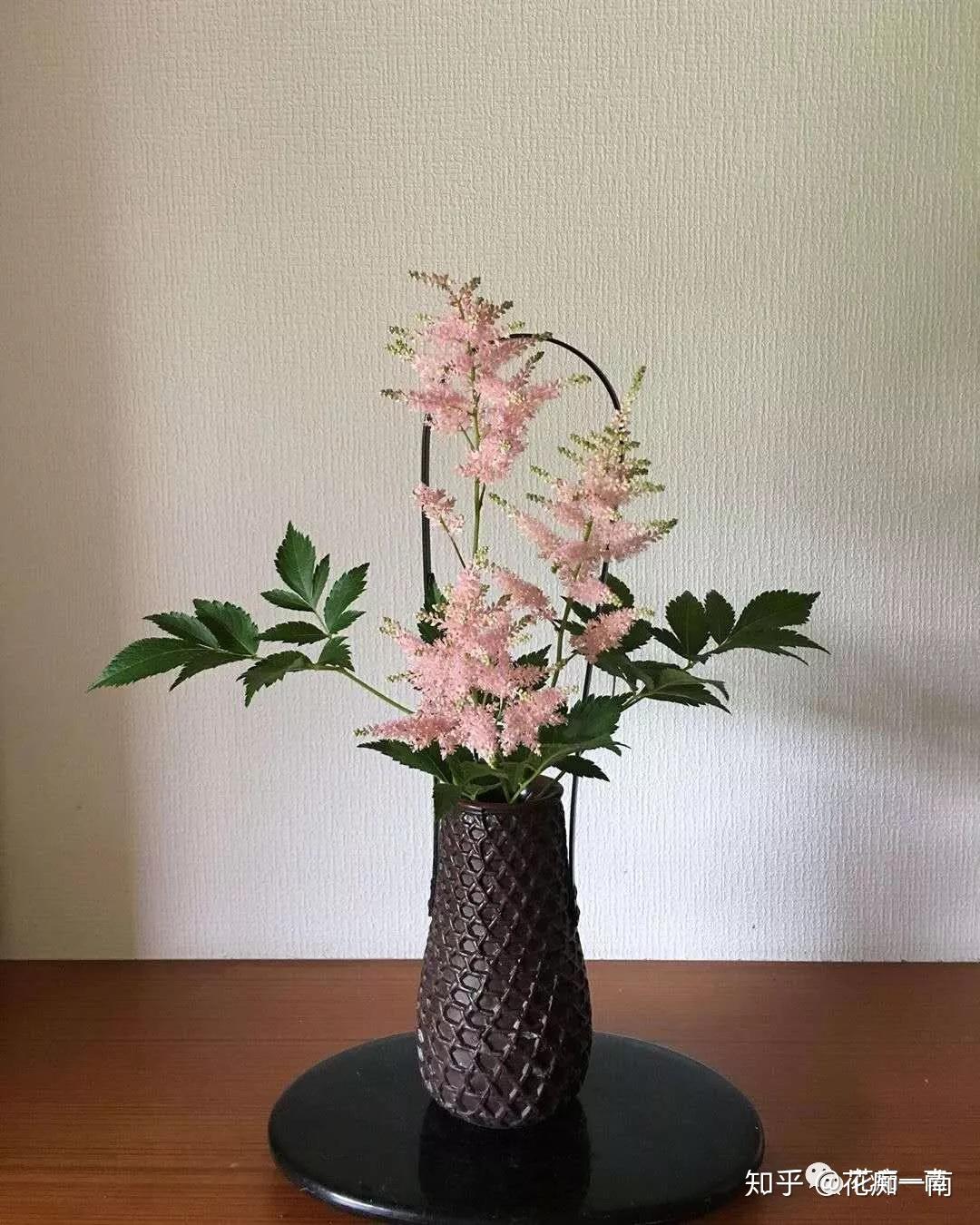 最适合搭配各式玻璃花瓶,让它的清新发挥得淋淋尽致