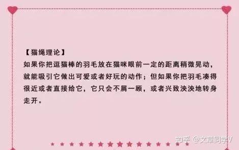 四,【谈付出】猫绳理论,掌握引导投资模式